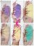 Dupatta Tassels - Image 5